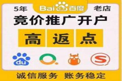 某电商平台的SEM推广策略及效果分析